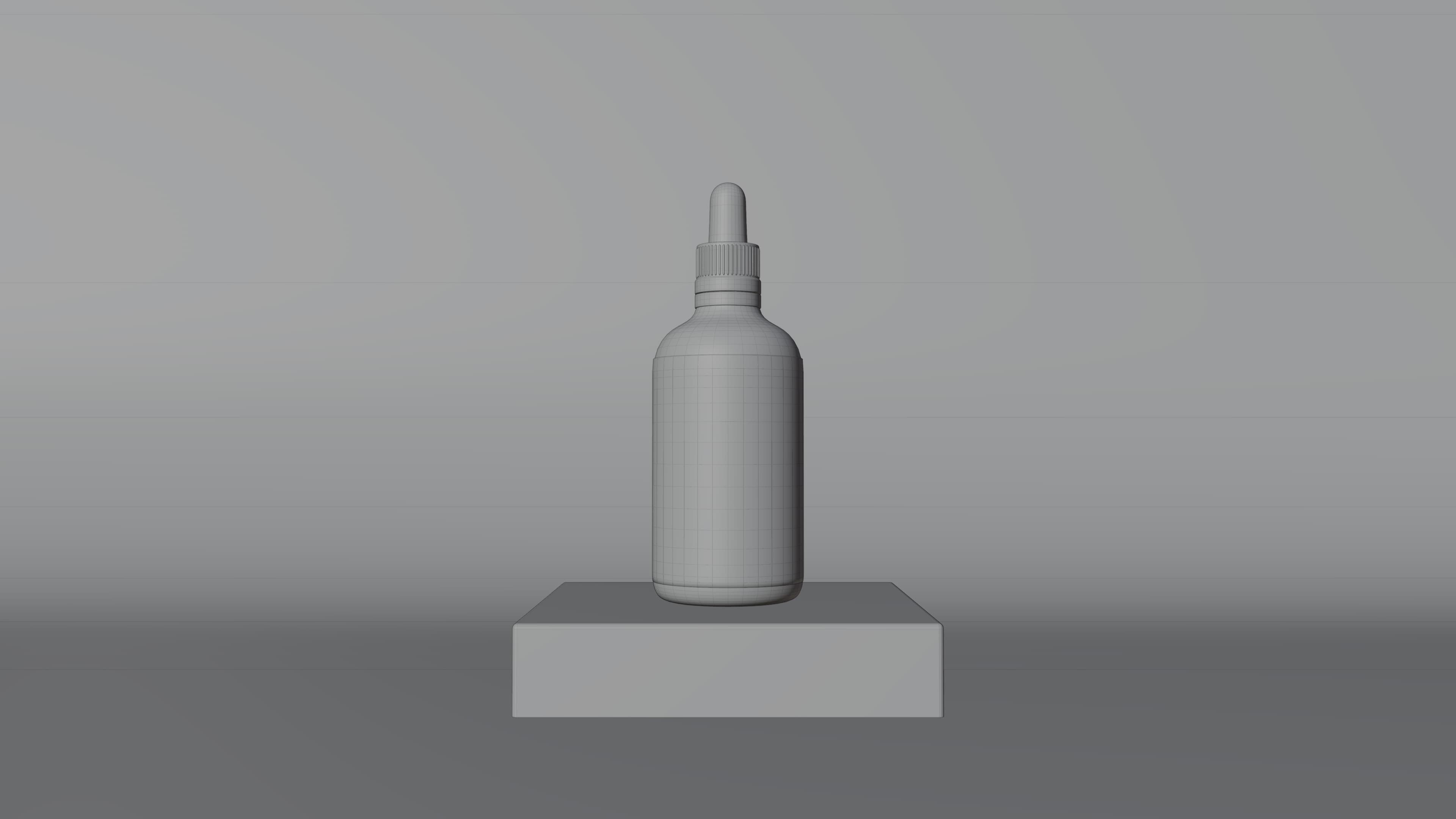 Wireframe rendering