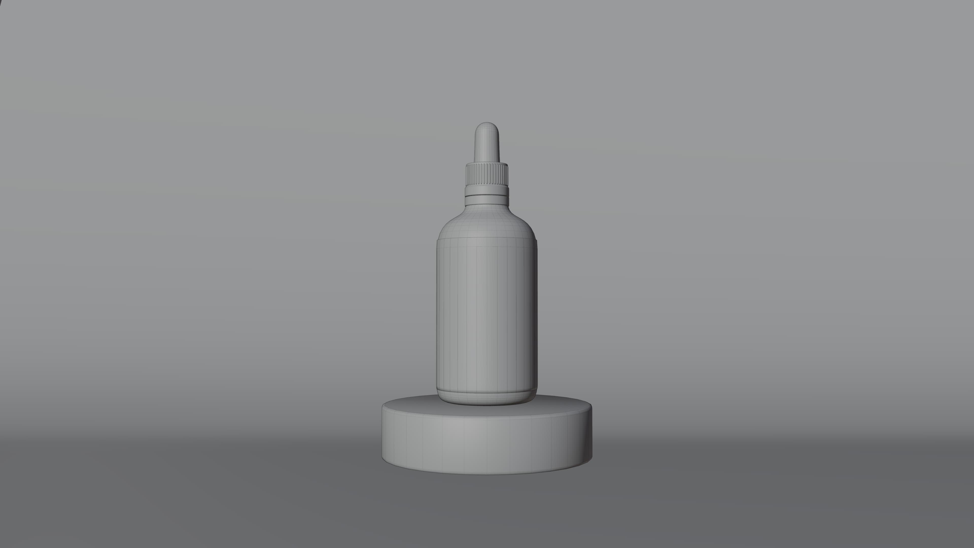 Wireframe rendering